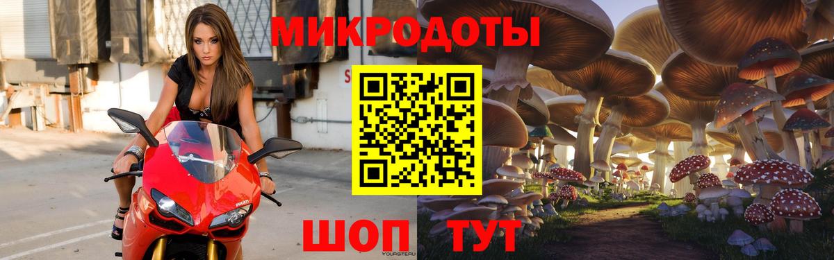 Галлюциногенные грибы GOLDEN TEACHER Егорьевск